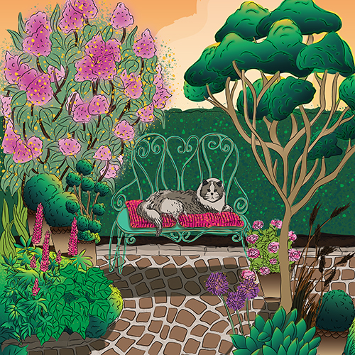 Illustration Cat in garden