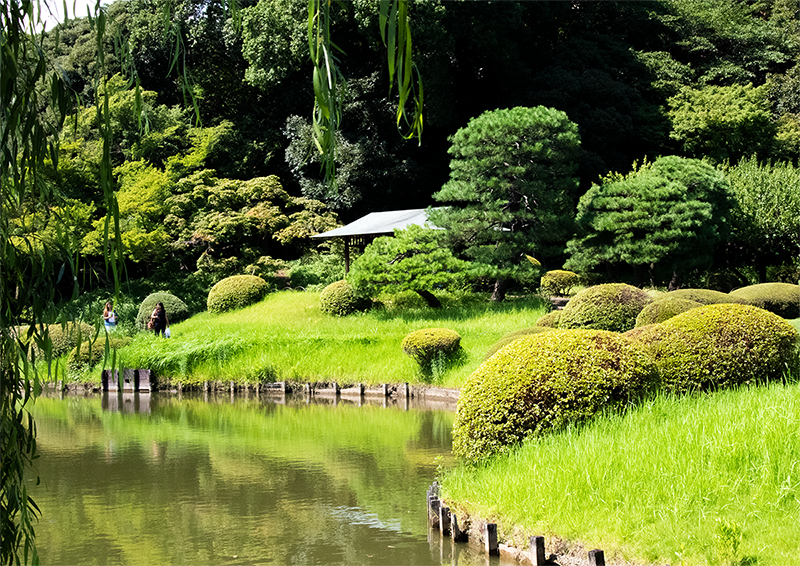 Foto av en japansk park