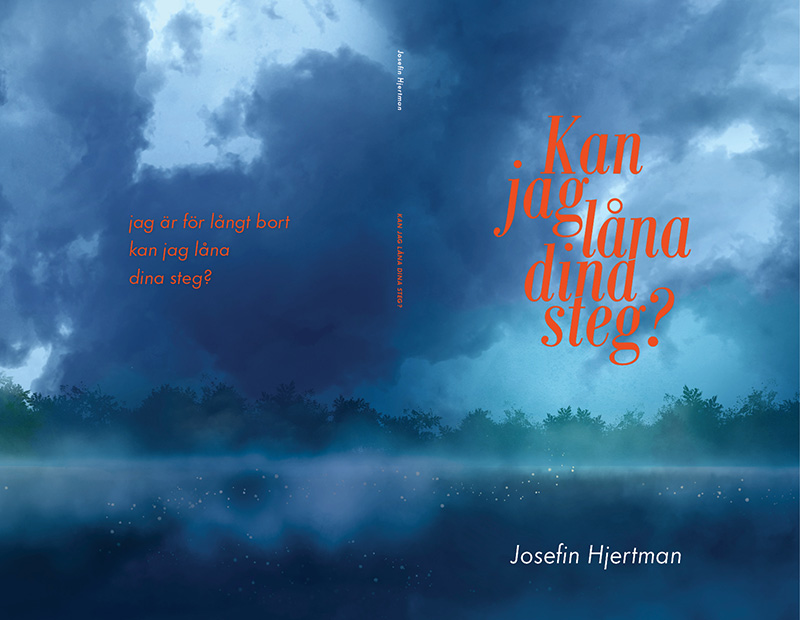 Kan jag låna dina steg?