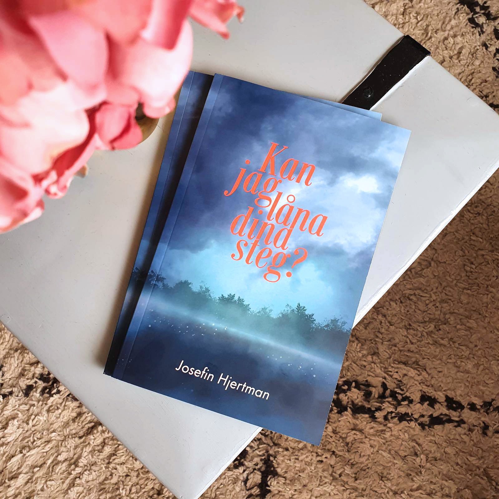 Book cover illustration for a poetry collection