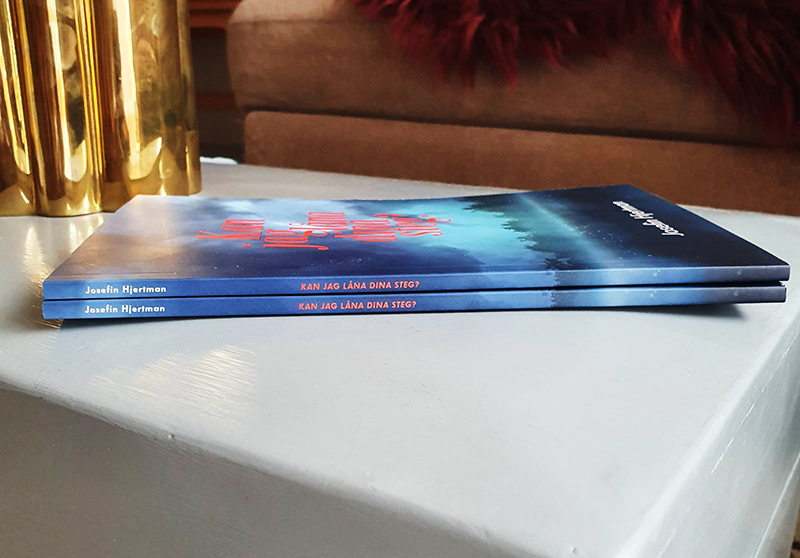 Kan jag låna dina steg?