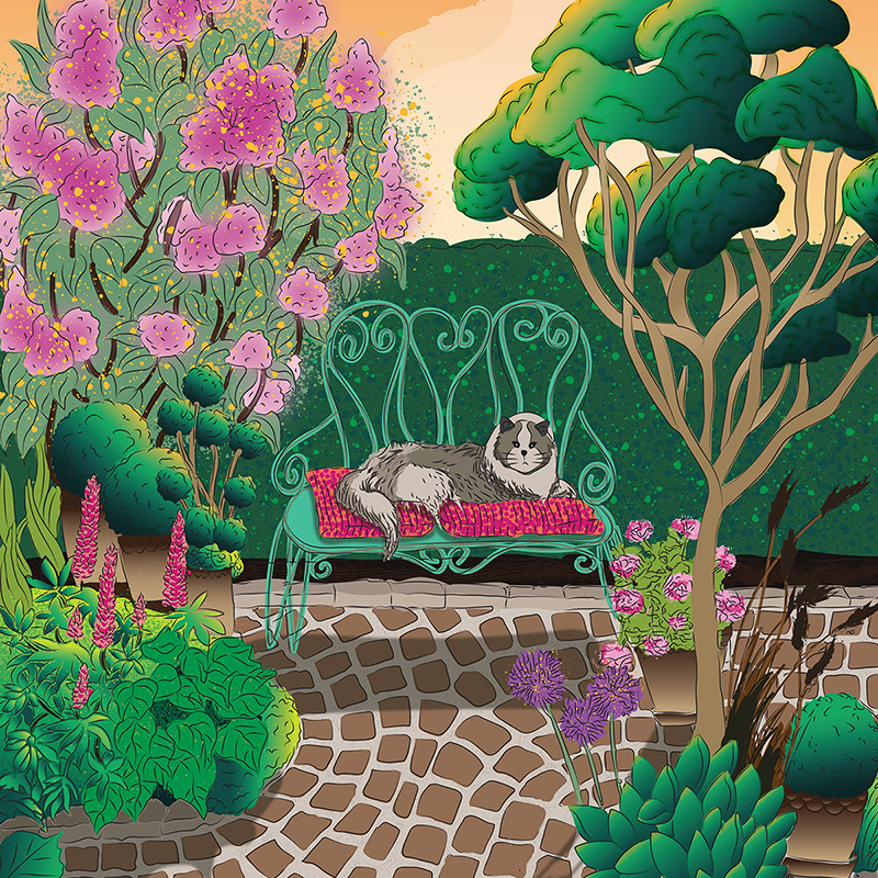 Illustration Cat in garden